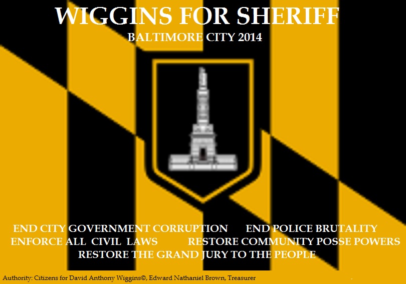 Wiggins for Sheriff Flag